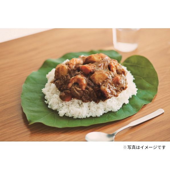 【ノラネコぐんだん】 カレーライス えびカレー（中辛）