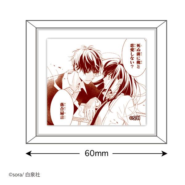 【漫画商店】フレームマグネット(sora/墜落JKと廃人教師/D)