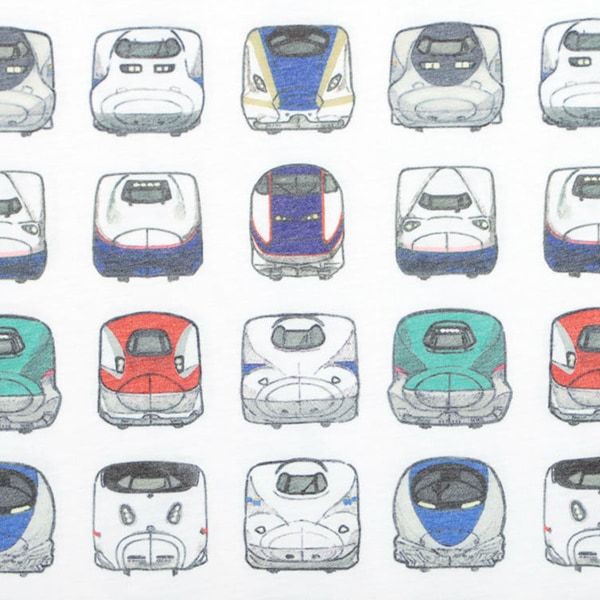 【でんしゃのずかん】大人Tシャツ（でんしゃのずかんパターン）/M