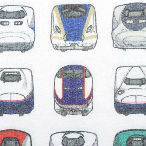 【でんしゃのずかん】大人Tシャツ（でんしゃのずかんパターン）