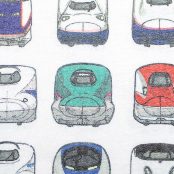 【でんしゃのずかん】キッズTシャツ（でんしゃのずかんパターン）